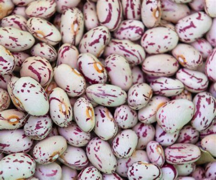 21 Other Savory Names For Pinto Beans