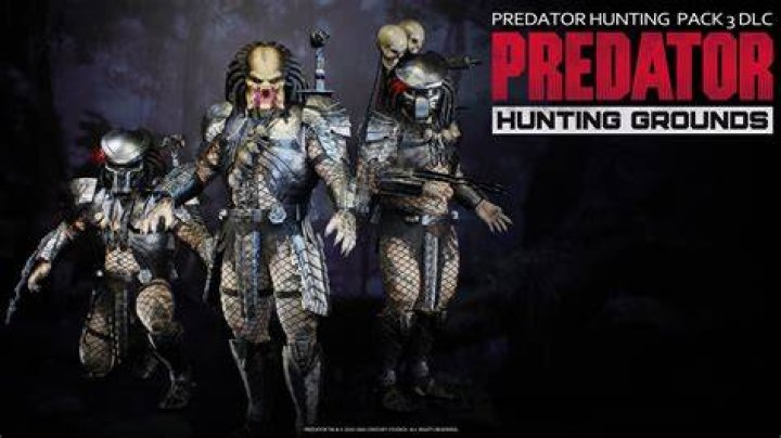 3 Predators That Hunt Humans: Beware In The Wild