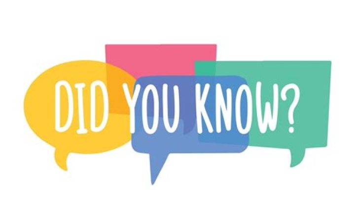 5 Interesting Facts You Need To Know About Kristine Zimmerman