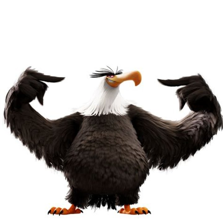 6 Mighty Birds That Embody Strength And Courage