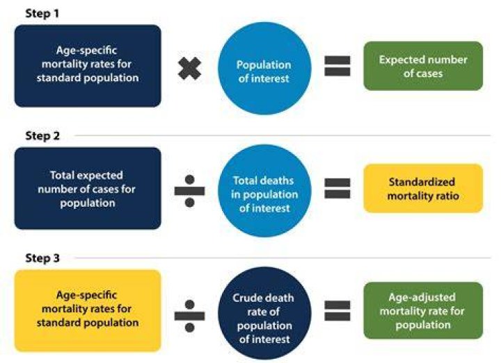 A Comprehensive Guide To Crude Mortality Rate: Definition, Calculation, And Significance