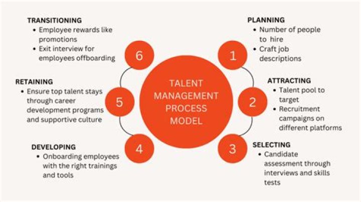 A Journey Into Talent And Transformation