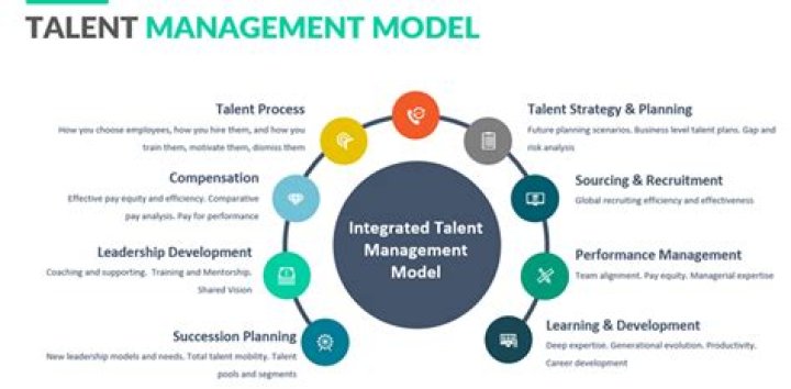 A Journey Of Talent, Success, And Investment Insights