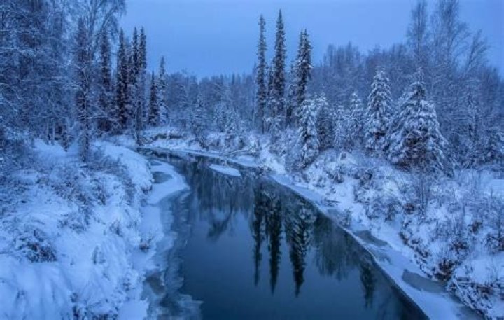 A Life On The Extreme Edge Of The Alaskan Wilderness