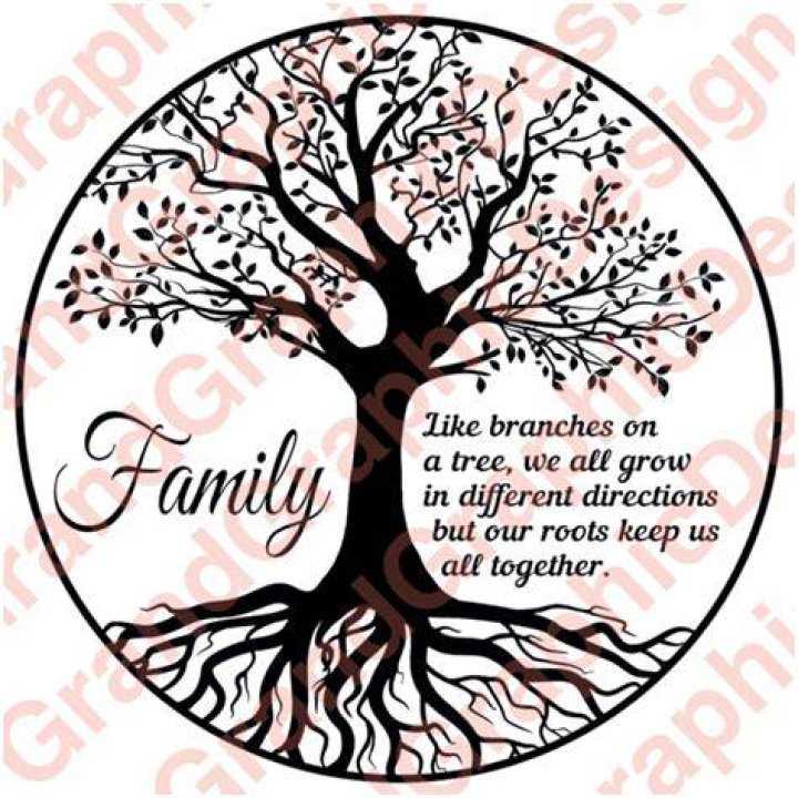 A Spotlight On Her Family Roots