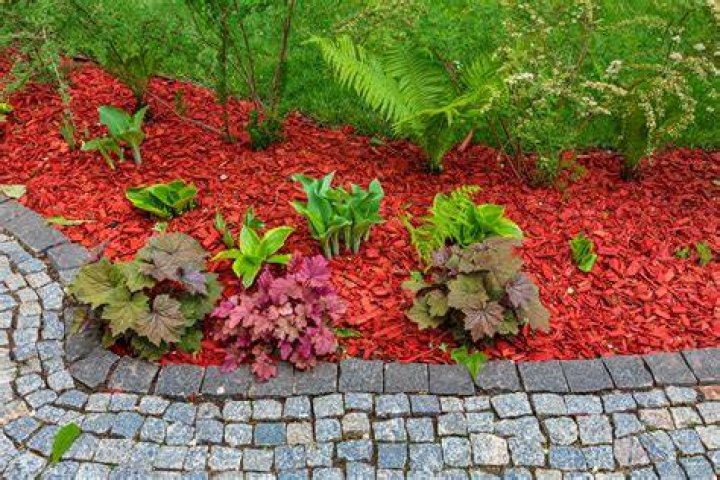 Affordable TJ Bark Mulch: Enhance Your Landscape