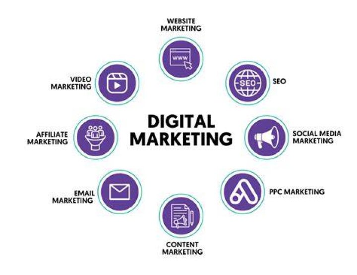 An Expert In Digital Marketing