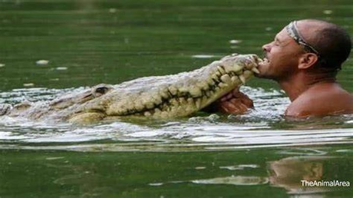 Astonishing Footage: Shaman Dragged Away By Mighty Crocodile