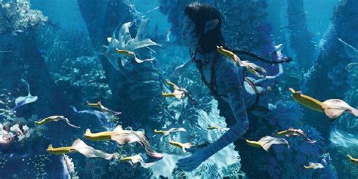 Avatar: The Way Of Water - Streaming Now On Disney+