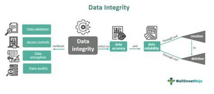 Avery Leigh Of Leaks | Your Ultimate Guide To Data Integrity