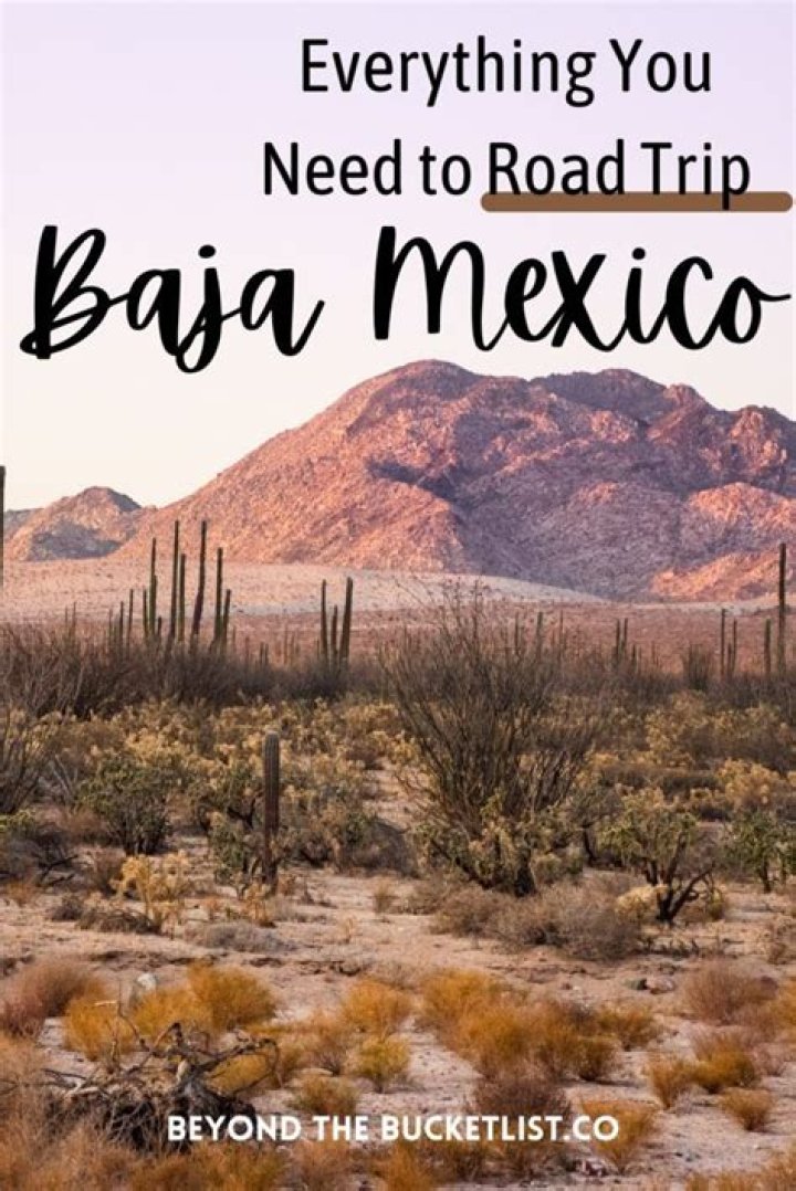 Baja Peninsula: A Guide To Safe Shooting Experiences