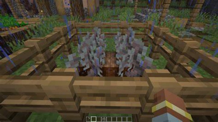 Best Guide To Oak Sapling In OSRS