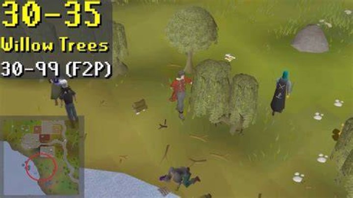 Best OSRS Willow Tree Cutting Guide For Quick Woodcutting
