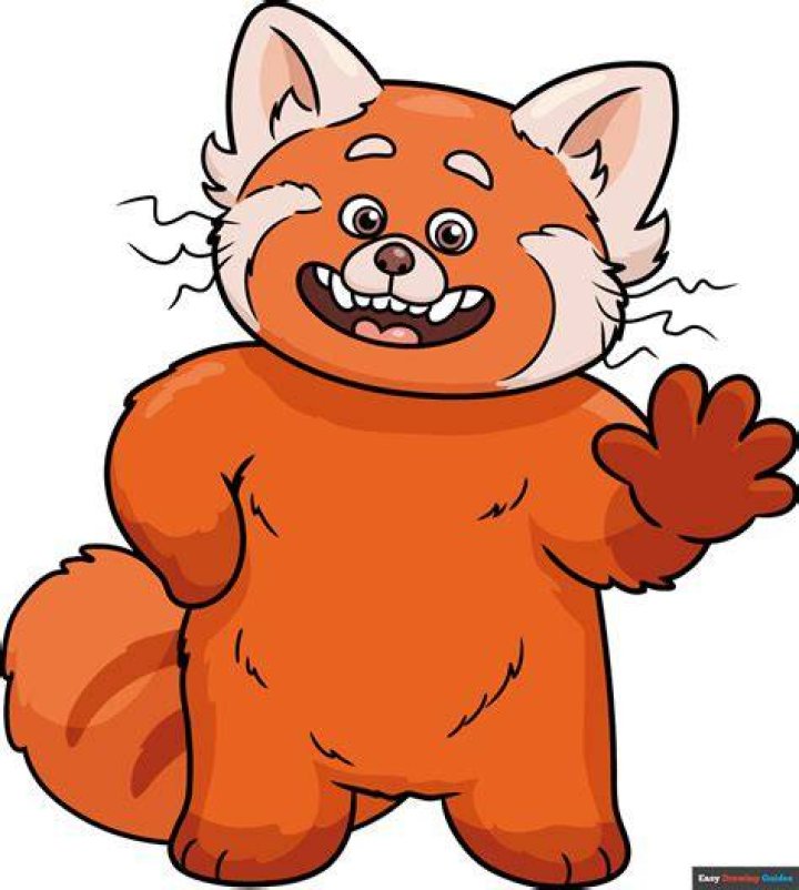 Buying A Red Panda: Everything You Need To Know