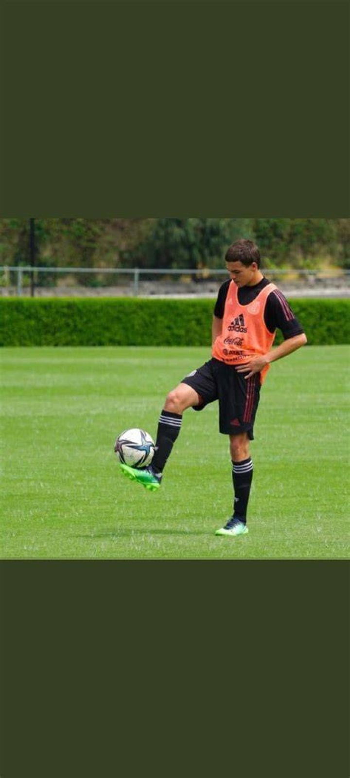 Cade Cowell's Brother: A Rising Star In Soccer