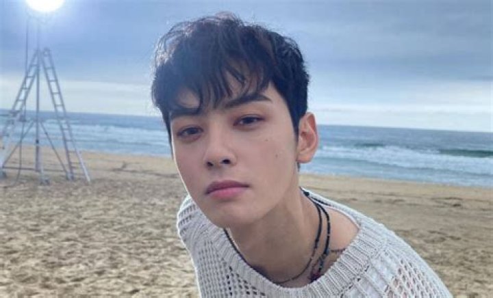 Cha Eun Woo's Ex-Girlfriends: Rumors And Speculations