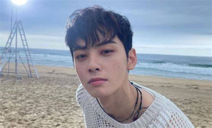 Cha Eun Woo's Relationship Status Revealed