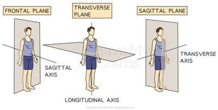 Comparing Midsagittal And Sagittal Planes: A Comprehensive Guide