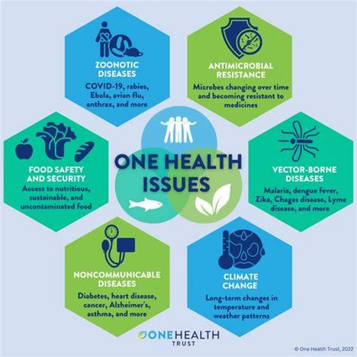 Comprehensive Guide To Understanding Rick Ness Health Concerns And Remedies