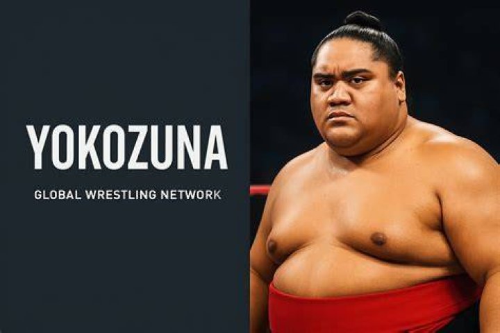 Current Yokozuna: Dominating The Sumo Rankings