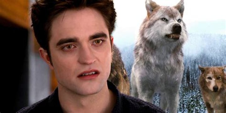Daniel Lautner: The Ultimate Teen Wolf From Twilight Saga