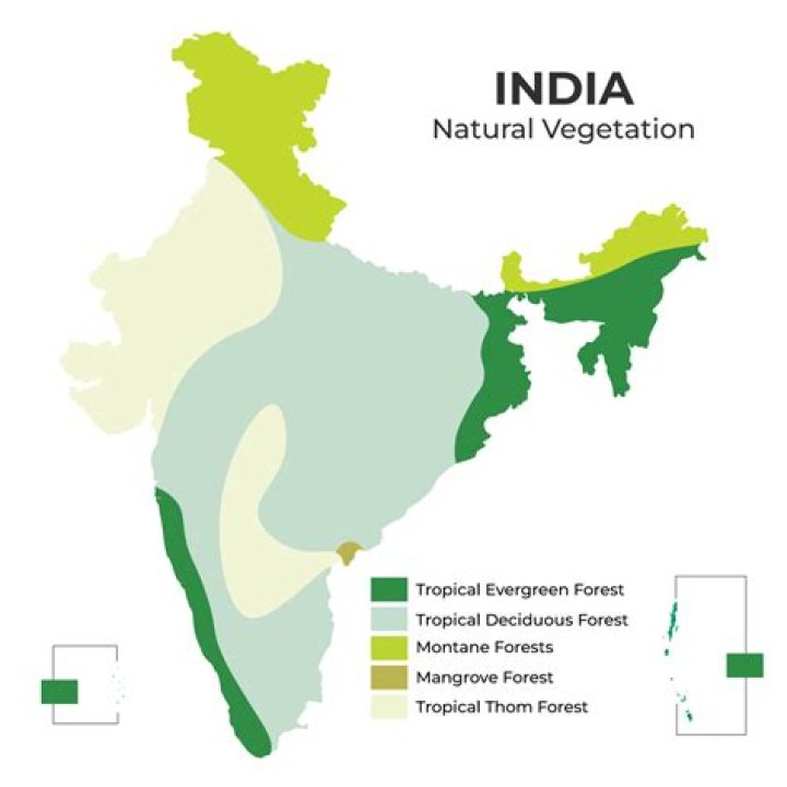 Deciduous Forest Climates: A Comprehensive Guide To Their Unique Dynamics