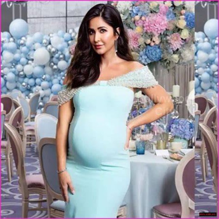 Did Sara Murray Announce Her Pregnancy? Latest News And Updates