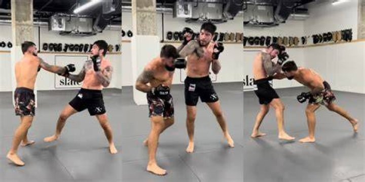 Dillon Danis: Unveiling His Striking Stature And Physical Attributes