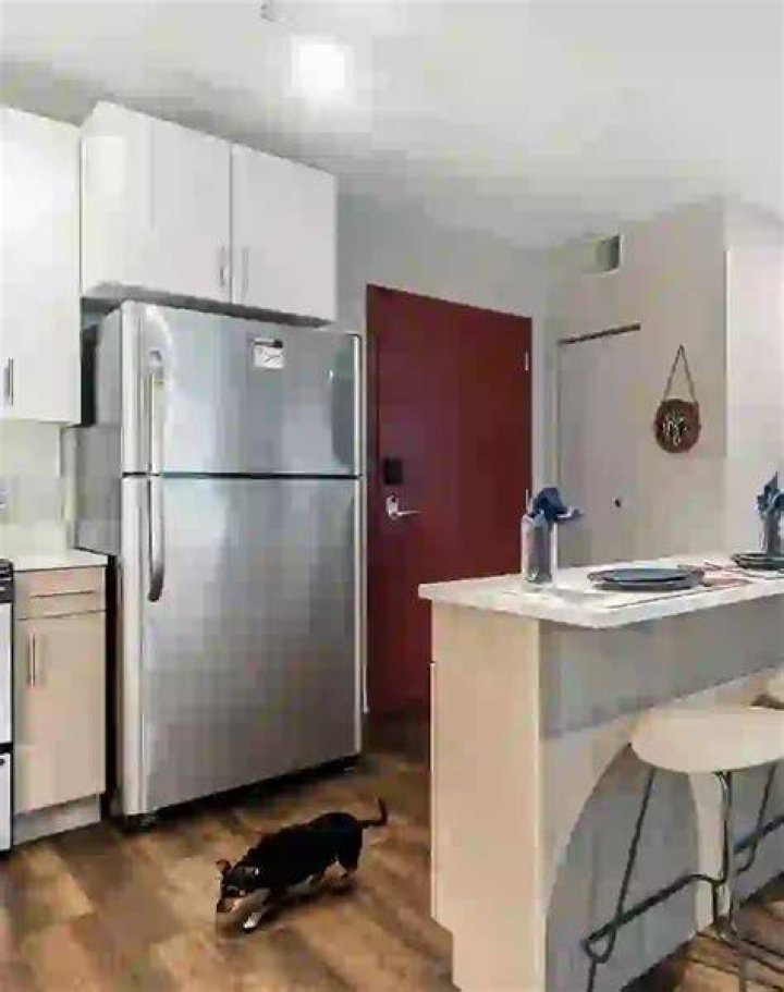 Discover Fort Collins Student Living Perfection: Apartments Tailored For Your Success