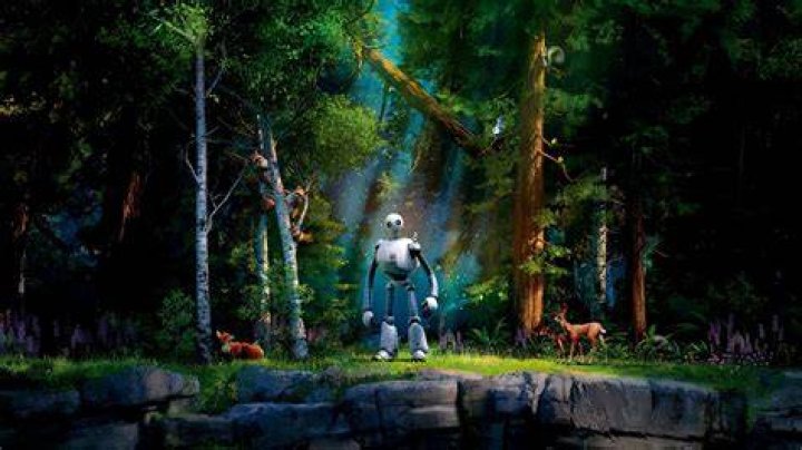 Discover The Adventure Of Love In The Wild Skip