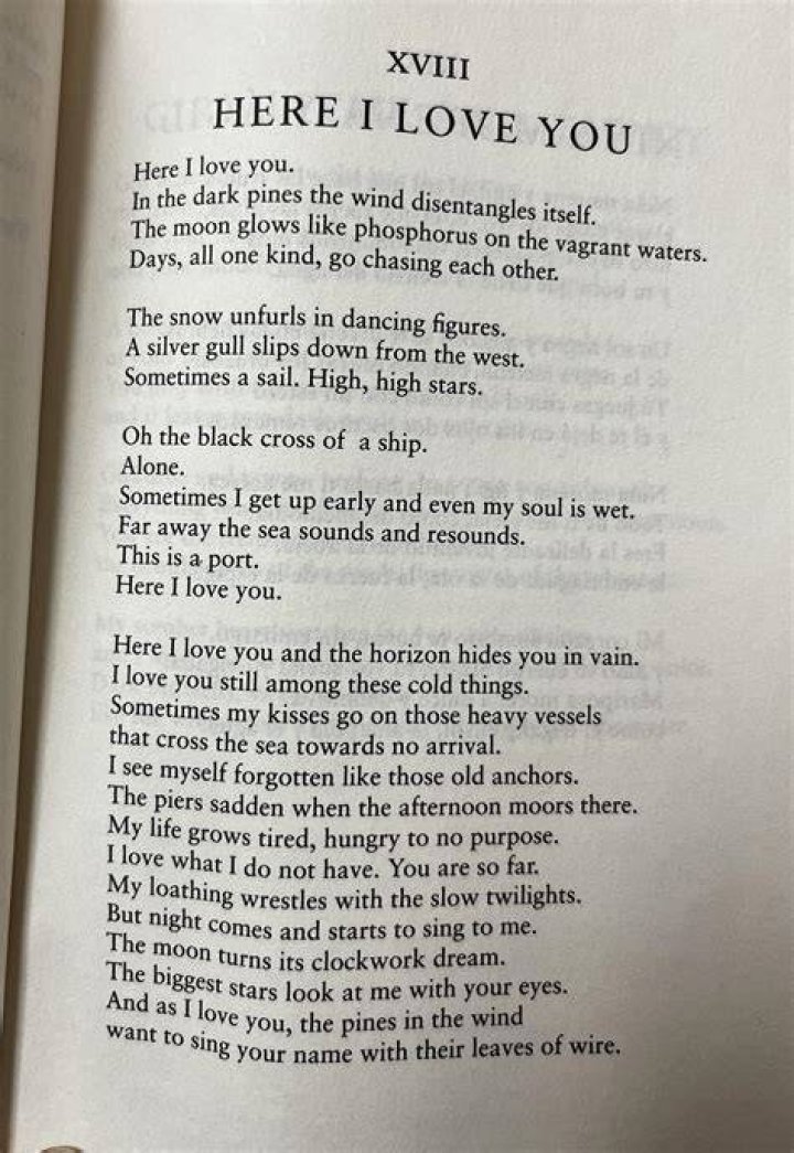 Discover The Intriguing Themes Explored In Pablo Neruda's Poetry