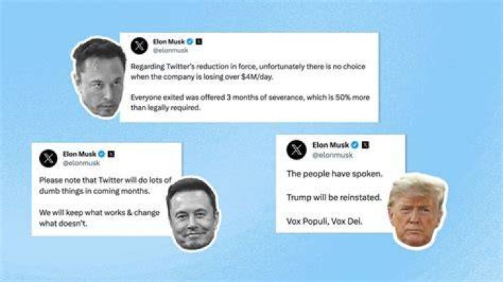 Discover The Latest Tweets From Birnooce: Your Guide To All Things Trending