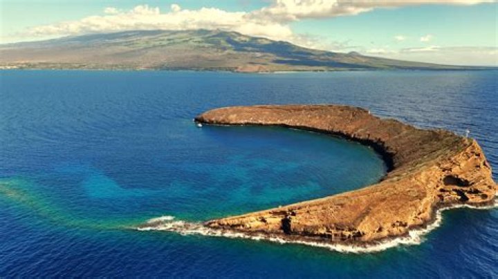 Discover The Maui Blue House: A Hidden Gem In Paradise