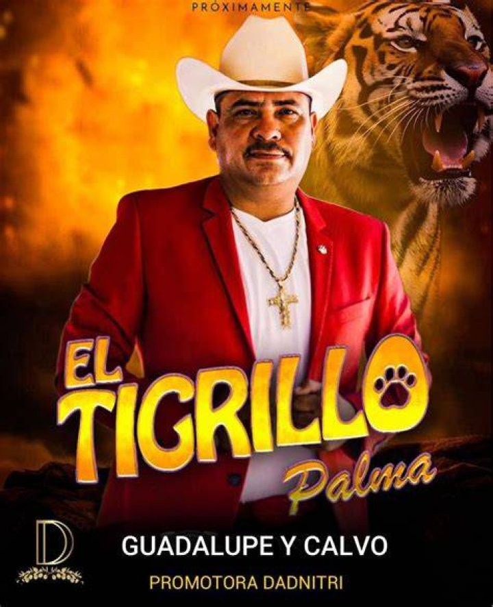 Discover The Secrets Behind El Tigrillo Palma's Age