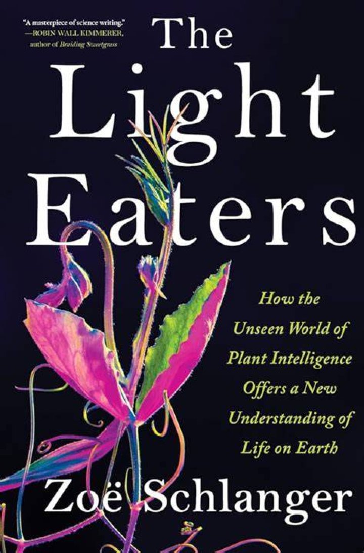 Discover The Unseen World Of Bubbles Summer Walker Daughter