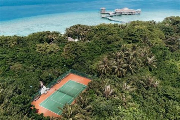 Discoveries And Insights For Tennis Enthusiasts