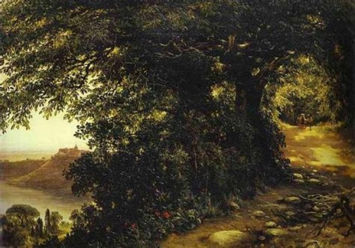 Discoveries And Insights Into Her Masterful Art