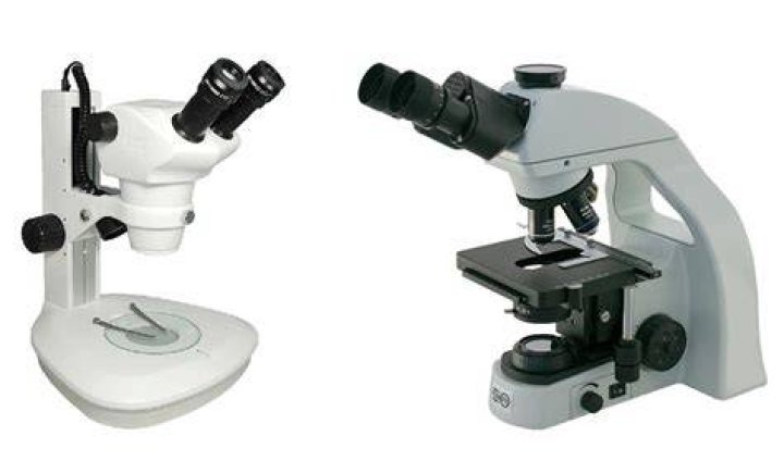 Dissecting Microscopes: The Ultimate Guide For Scientists And Students