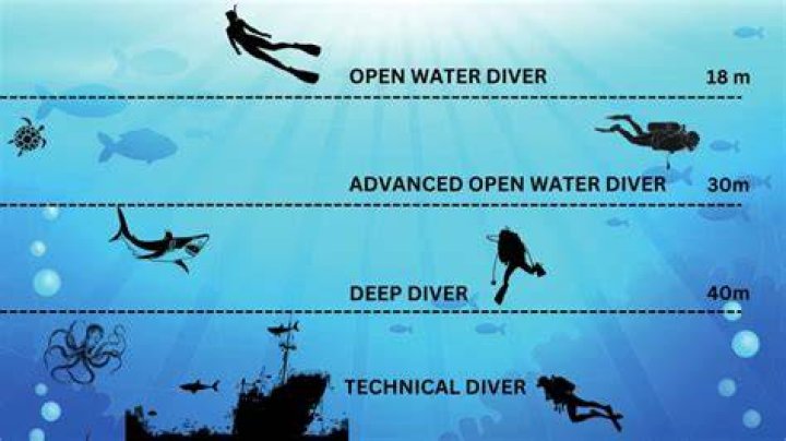 Dive Into The Deep: Discover "20 Meters Down" Today!