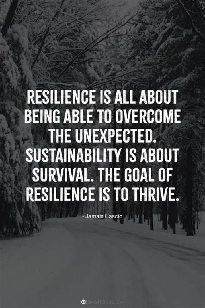 Elisabeth Anne Carell: A Journey Of Inspiration And Resilience