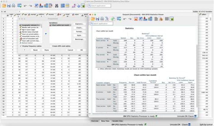 Enhance Your SPSS Data Analysis: A Guide To Recoding Variables