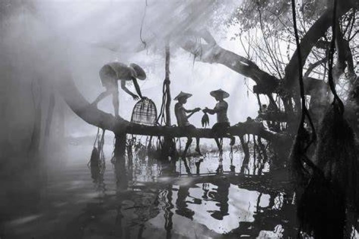 Erin O'Keeffe: Mastering The Art Of Photography