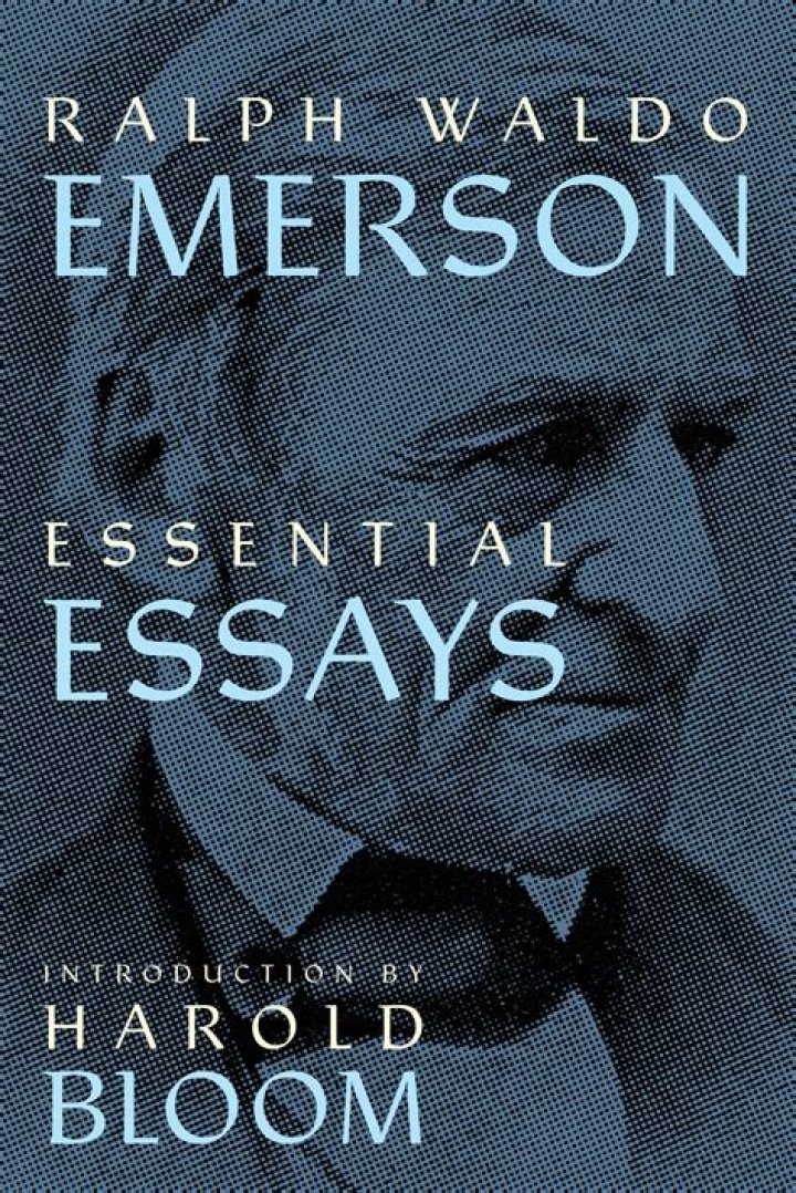 Essential Guide To Emerson Teer