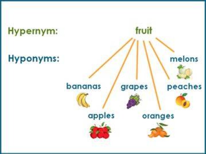 Essential Guide To Hyponymy And Hypernymy: Understanding Keyword Relationships