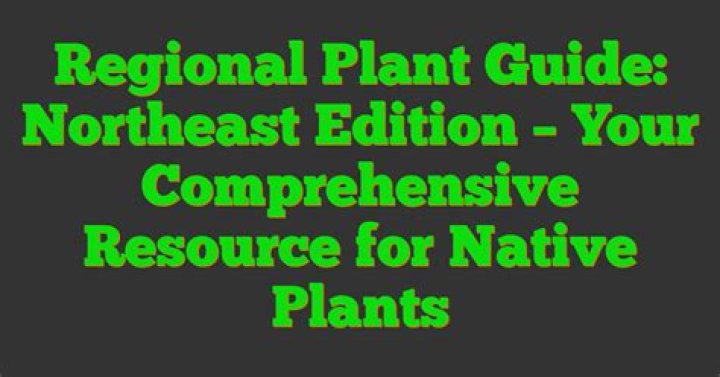 Essential Guide To NLE Name: Your Comprehensive Resource