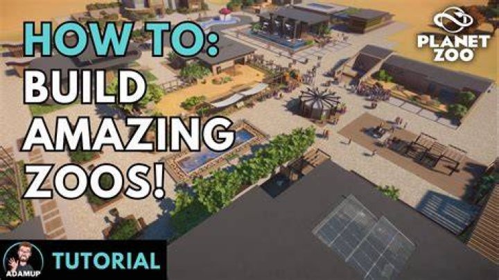 Essential Planet Zoo Building Tips To Elevate Your Creations