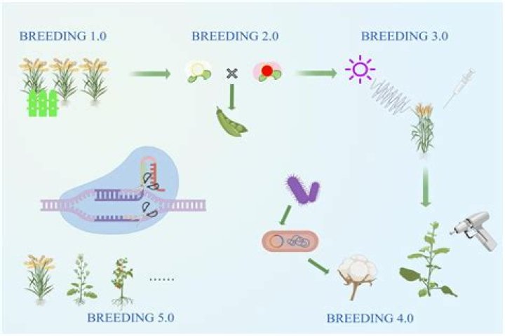 Exceptional Bryan Breeding Techniques: A Guide For Success