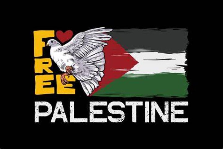 Exclusive: Jason Statham's Surprising Connection To The Palestine Flag