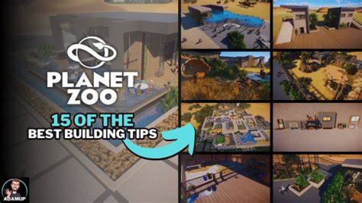 Expert Planet Zoo Tips To Unleash Your Inner Zoo Tycoon