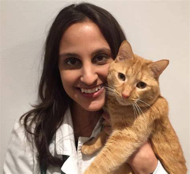 Expert Veterinarian: Stephanie Abrams, DVM